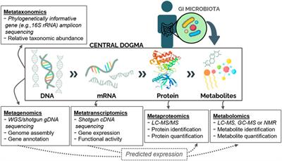 Microbiome-Mediated Immune Signaling in Inflammatory Bowel Disease and Colorectal Cancer: Support From Meta-omics Data